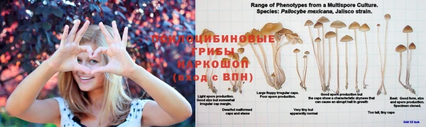mdma Навашино