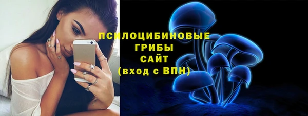 эйфоретик Надым
